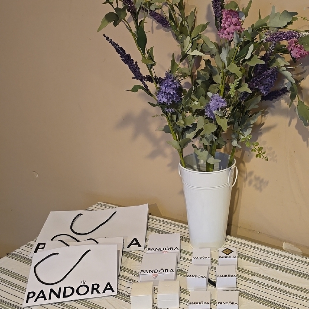 Pandora Boxes and Bags